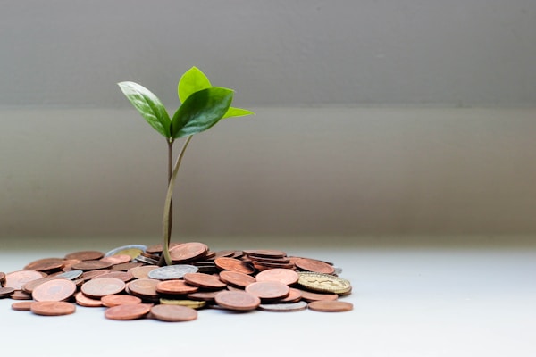 Referral Earnings